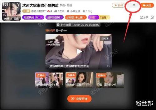 新主播爆料最新,娱乐圈幕后真相大曝光！